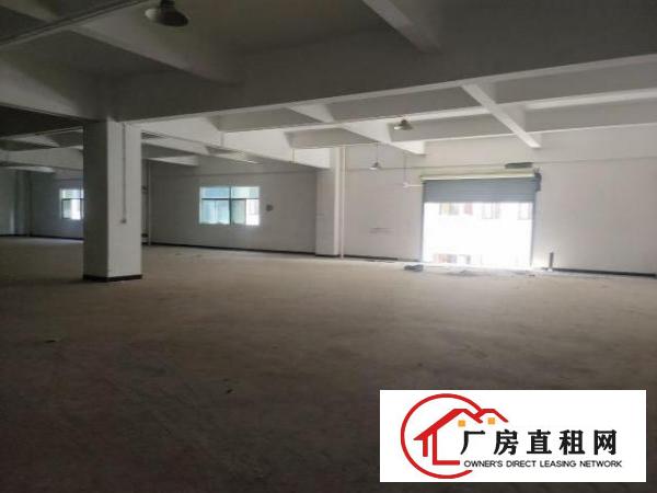  大岭山向东工业园区厂房出租