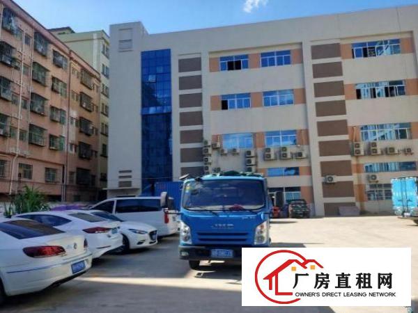  大岭山向东工业园区厂房出租