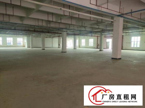  鸡翅岭大型工业园区厂房出租