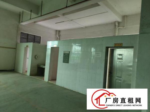  鸡翅岭大型工业园区厂房出租