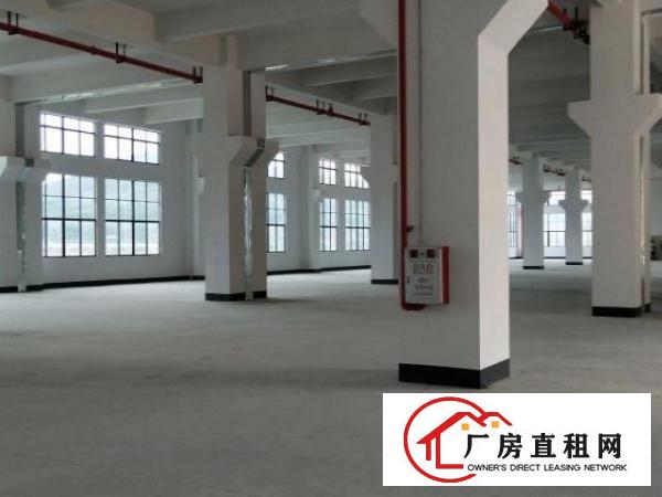  大道边全新工业园厂房招租