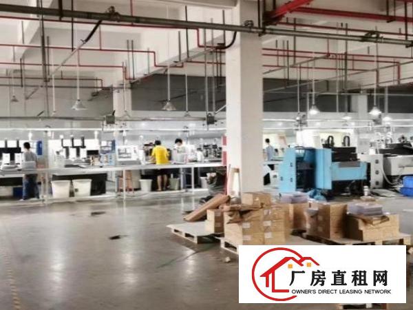  1150平重工业厂房，带办公室，地坪漆，水电齐全