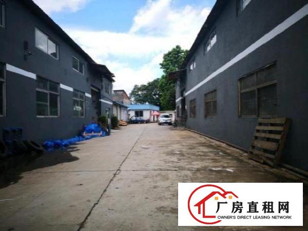  大路边6500平方独院出租（可分租）