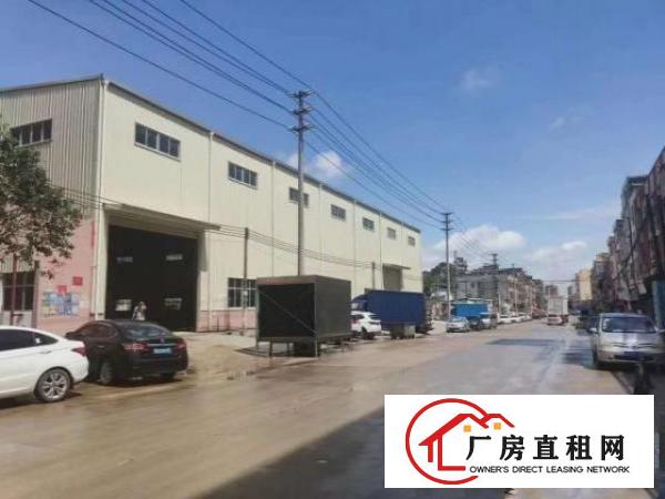  大岭山杨屋独院原房东钢构12米高