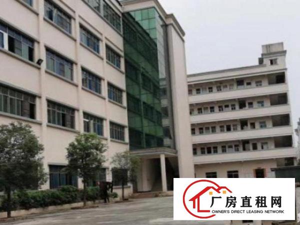  大岭山镇1000平方~30000平方厂房出租不收中介费