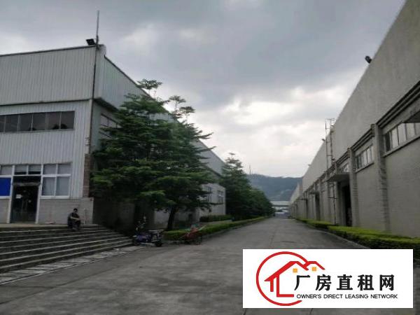  东莞自有物业出租，靓盘条件优惠