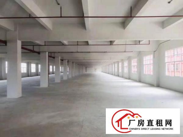  矮岭冚红本带航车厂房出租两栋可分租800平方