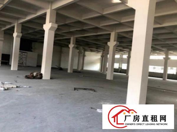  矮岭冚红本带航车厂房出租两栋可分租800平方