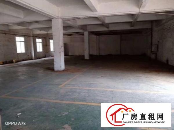  大岭山镇一手房东大小厂房出租