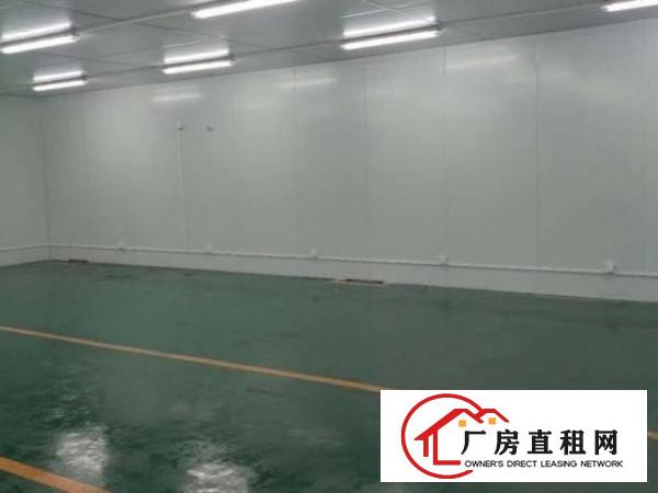  大岭山镇一手房东大小厂房出租