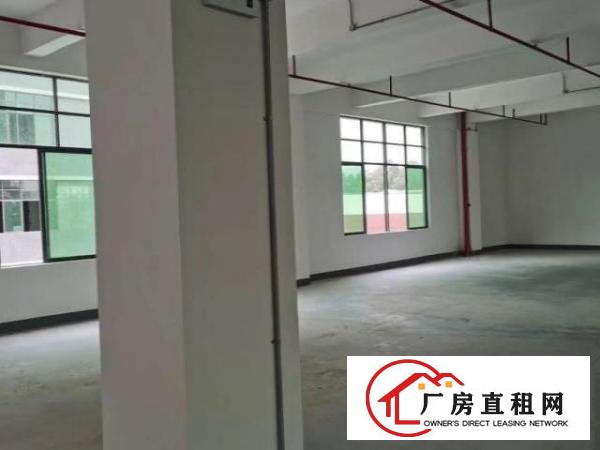  全新建厂房有红本，二次消防到位