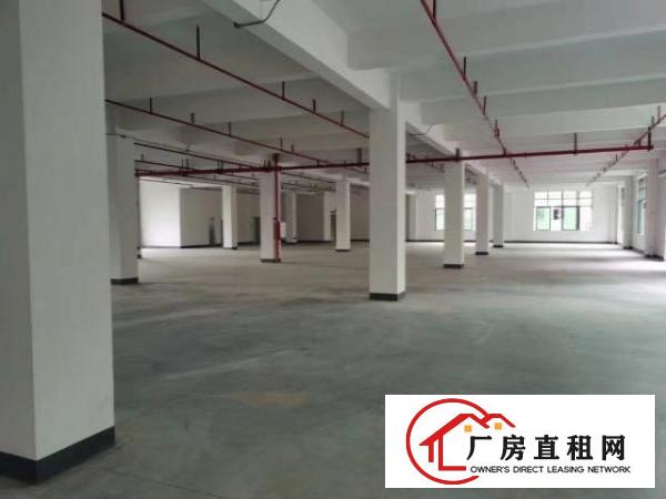  全新建厂房有红本，二次消防到位
