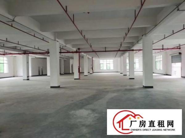  全新建厂房有红本，二次消防到位