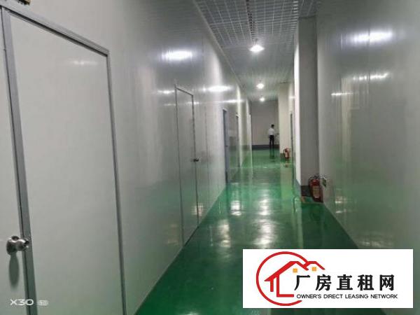  大岭山镇107国道边新出无尘车间