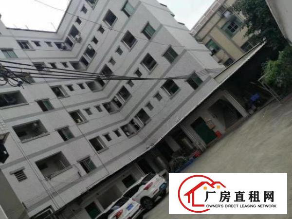  大岭山镇107国道边新出无尘车间