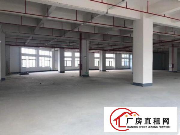  带红本成熟园区整层厂房