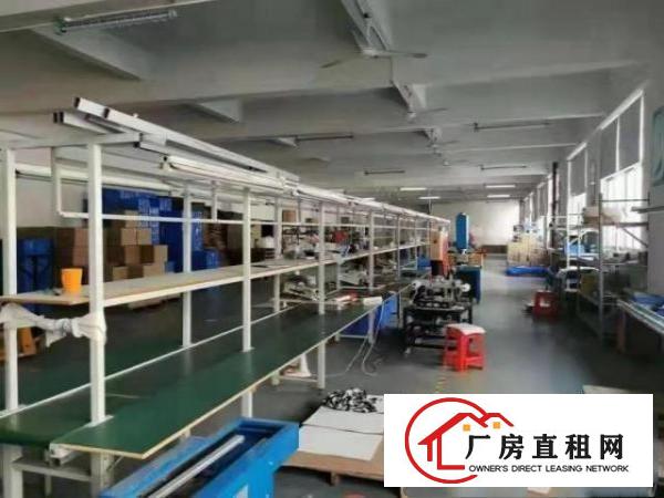  大岭山杨屋标准厂房出租