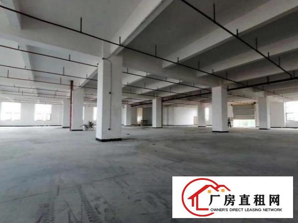 大岭山新建国有红本6万平可办环评