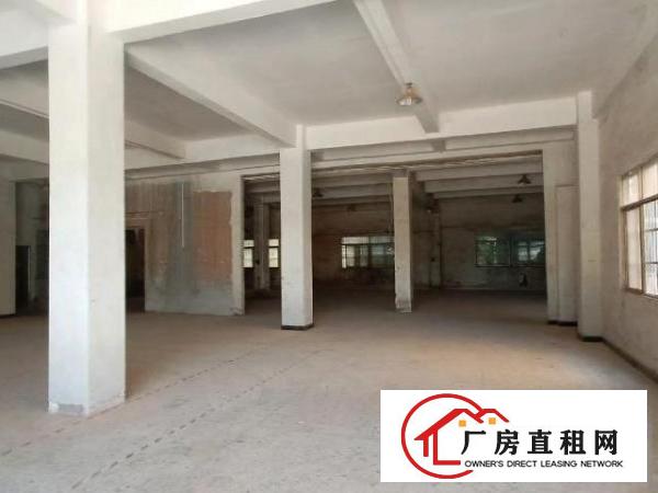  大岭山镇小独园3100平底价出租