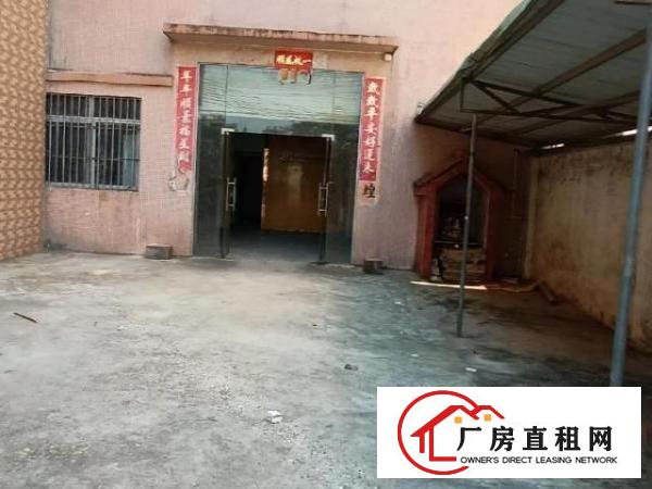  大岭山镇小独园3100平底价出租
