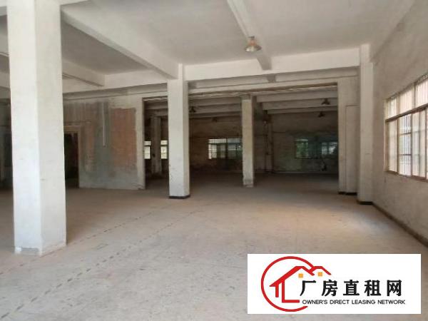 大岭山镇小独园3100平底价出租