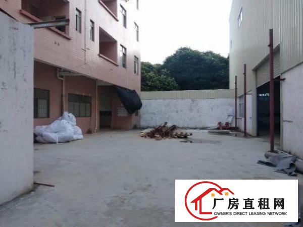  大岭山原房东独院出租