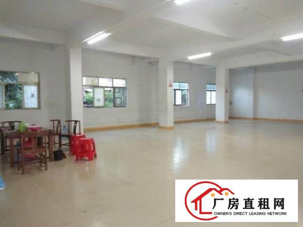 大岭山杨屋单一层独院钢构12米高