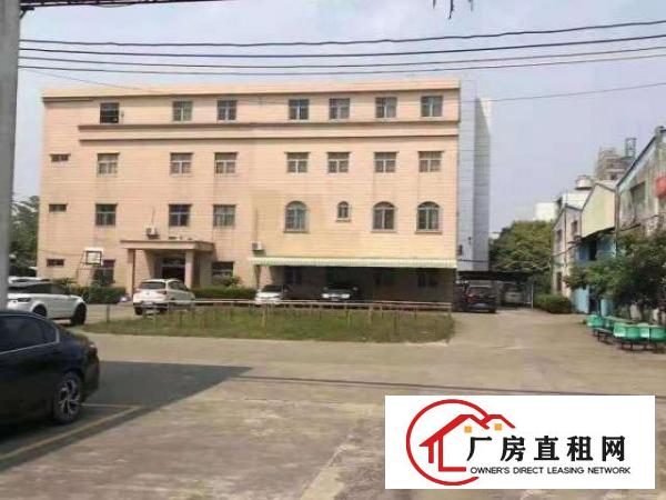  大岭山原房东独门独院厂房12000㎡