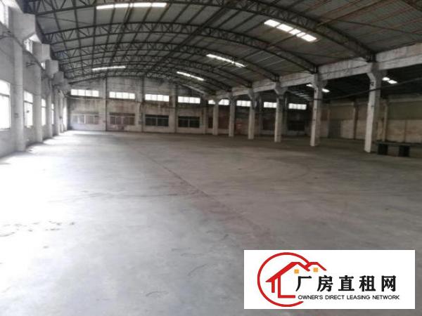 大岭山原房东独门独院厂房12000㎡