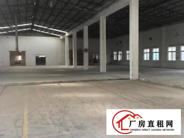  大岭山原房东独门独院厂房12000㎡
