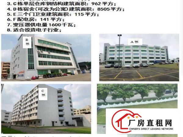  出租大岭山镇杨屋工业区独院厂房