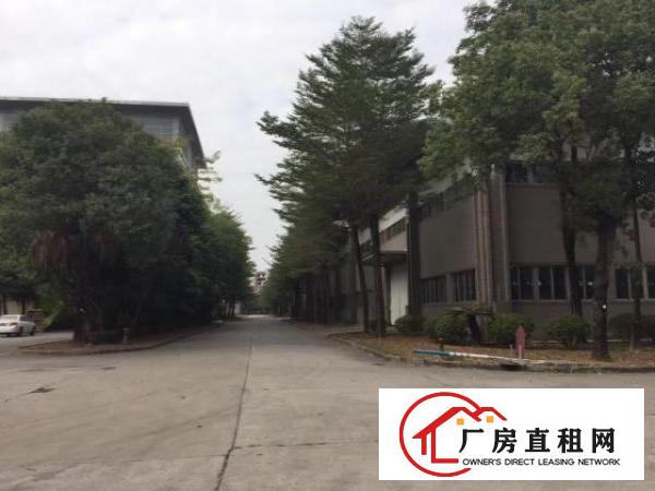  出租大岭山镇杨屋工业区厂房