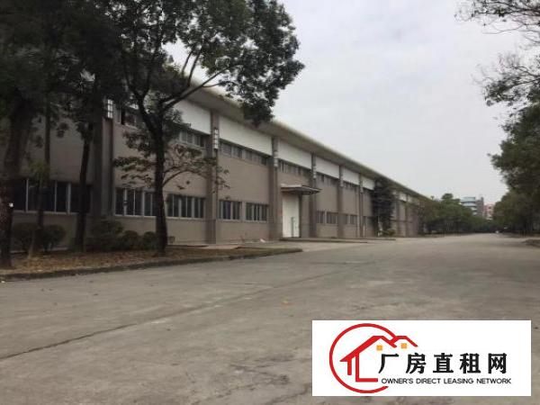  出租大岭山镇杨屋工业区厂房
