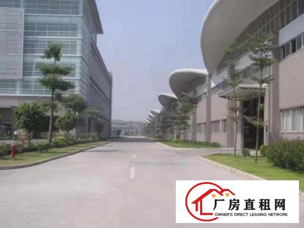  出租大岭山镇杨屋工业区厂房