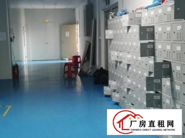  精装新无尘厂房，空调拉线齐全，免装修转让费