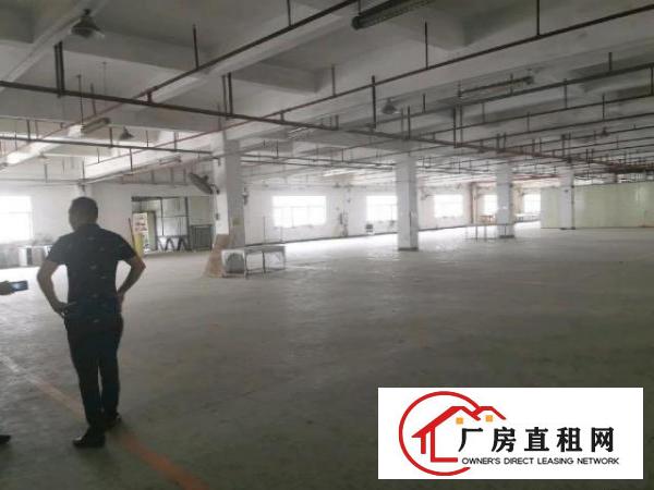  杨屋工业区独门独院标准厂房出租500起分