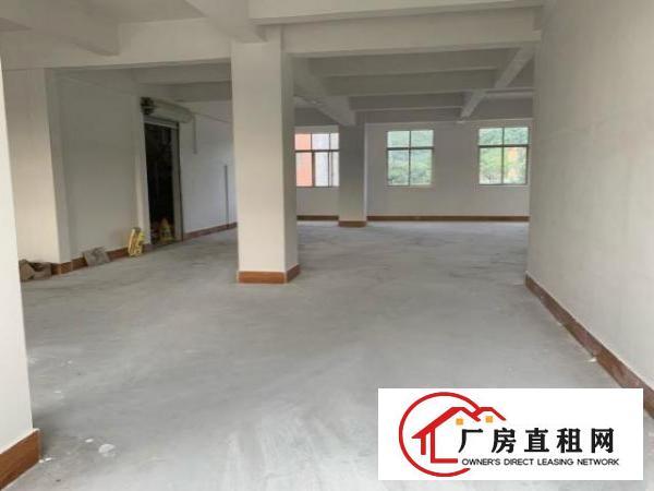  房东直租全新厂房办公楼