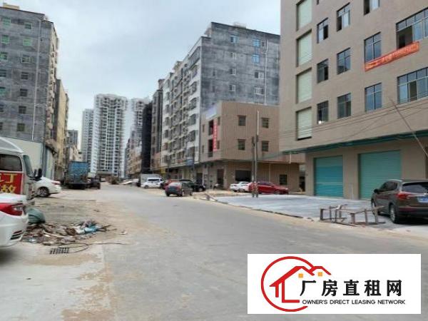  房东直租全新厂房办公楼