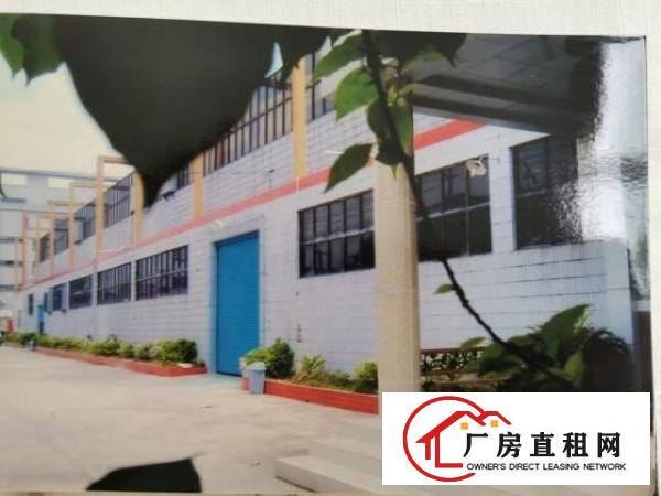  整租大岭山工业区厂房