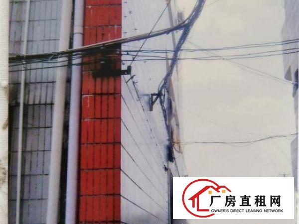  整租大岭山工业区厂房