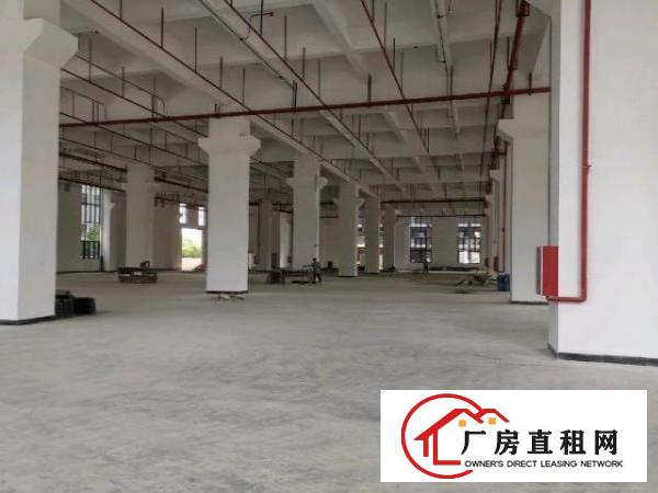  大岭山工业园标准厂房