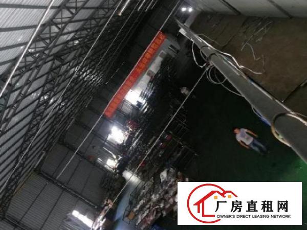  大岭山原房东有现成塑胶喷油环评滴水7.5米单一层厂房出租