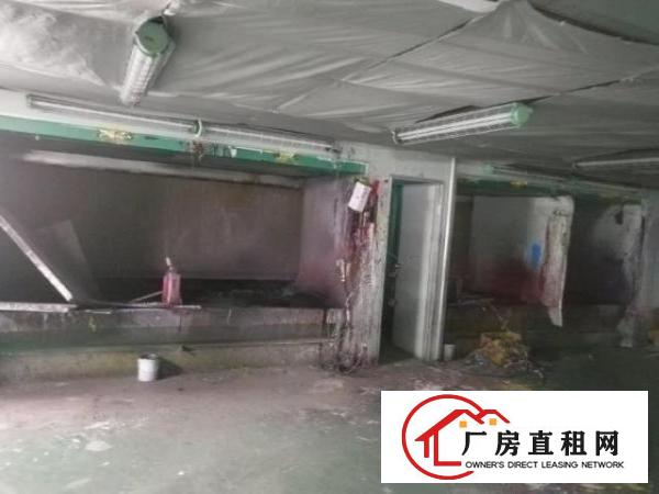  大岭山原房东有现成塑胶喷油环评滴水7.5米单一层厂房出租