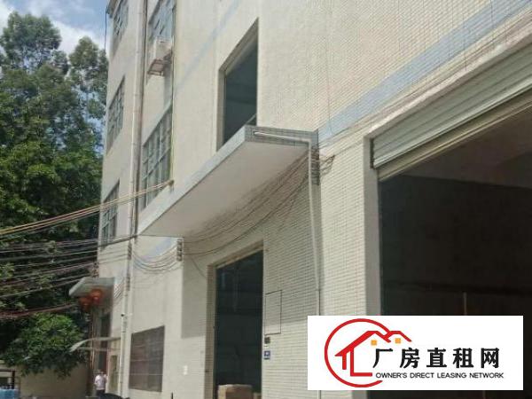  杨屋多个标准一楼200-600平米带行车带装修