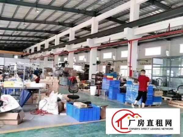  原房东独栋砖墙到顶单一层实际面积出租，滴水8米，空地超大