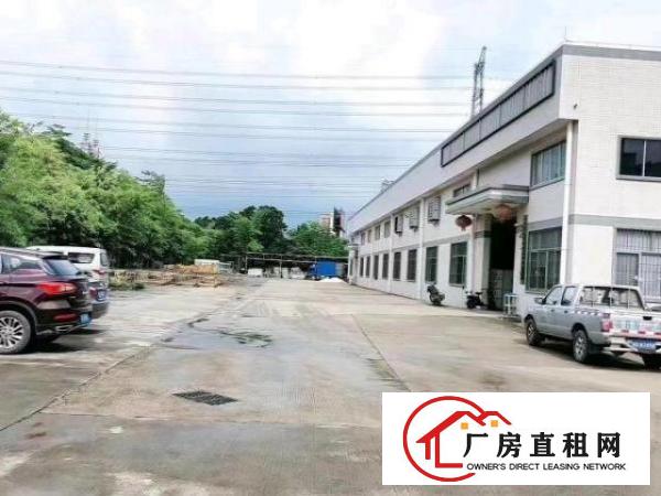  原房东独栋砖墙到顶单一层实际面积出租，滴水8米，空地超大