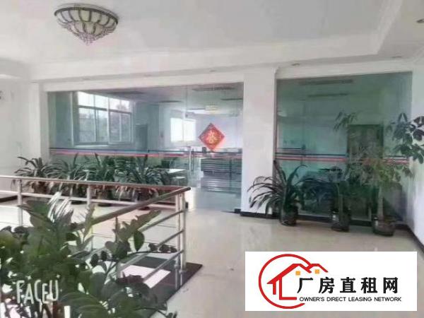  原房东独栋砖墙到顶单一层实际面积出租，滴水8米，空地超大