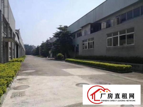  原房东单一层独院实际面积出租，独立办公楼，空地大，价格优