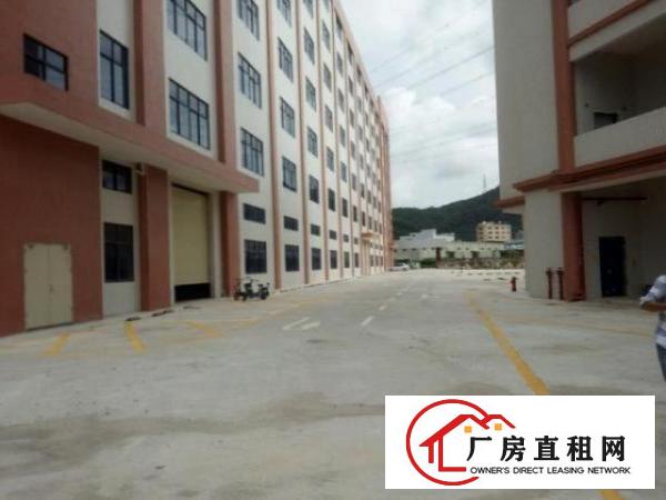  大岭山镇新建厂房出租500平方
