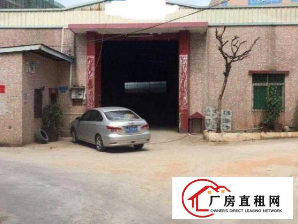  大岭山原房东厂房出租